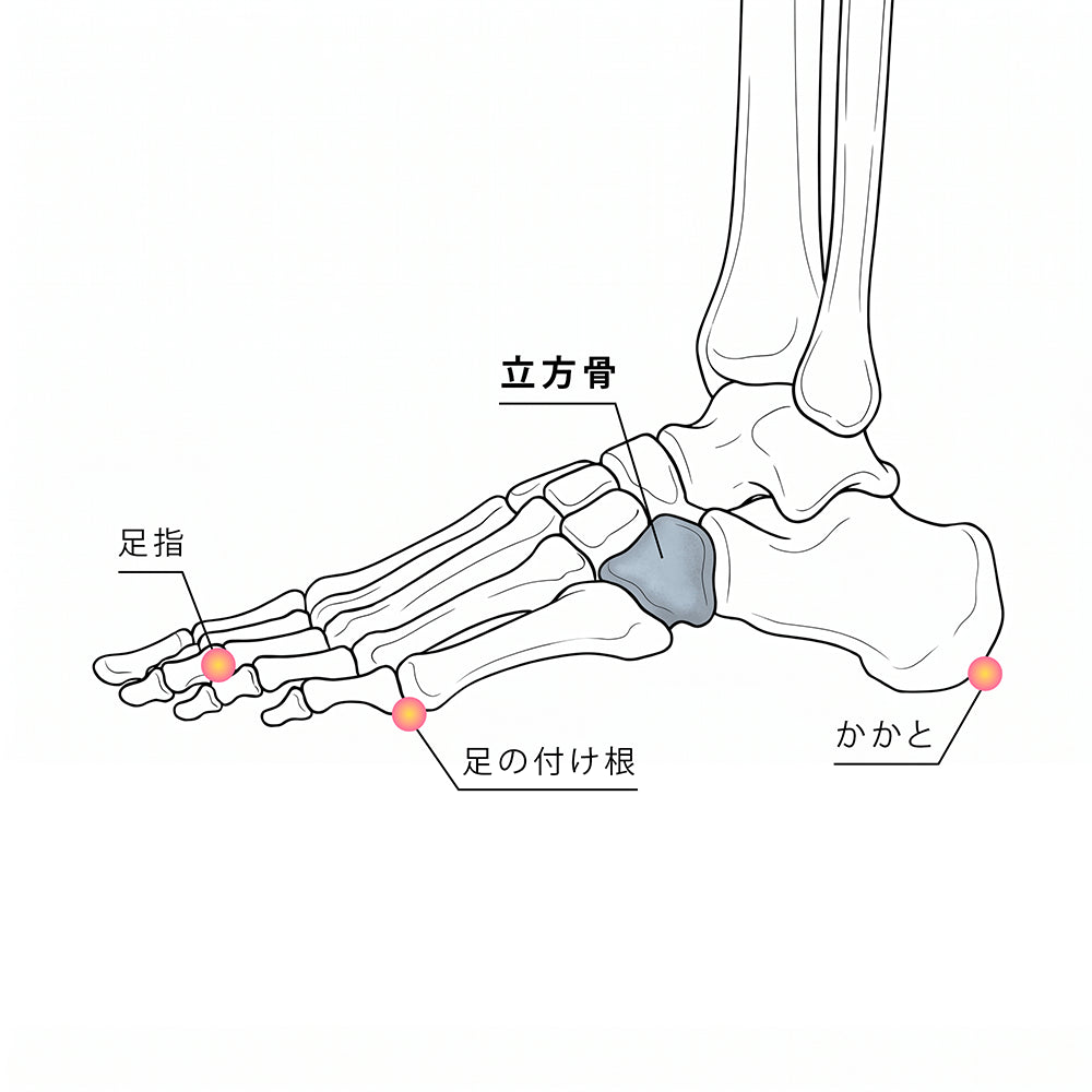 購入特典 Lサイズ インソール